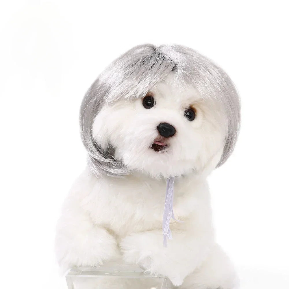 Pet Wig Dog Wig Pet Supplies Halloween Pet Accessories Curly Hair Straight Hair Cat Wig It can be DIY trimmed