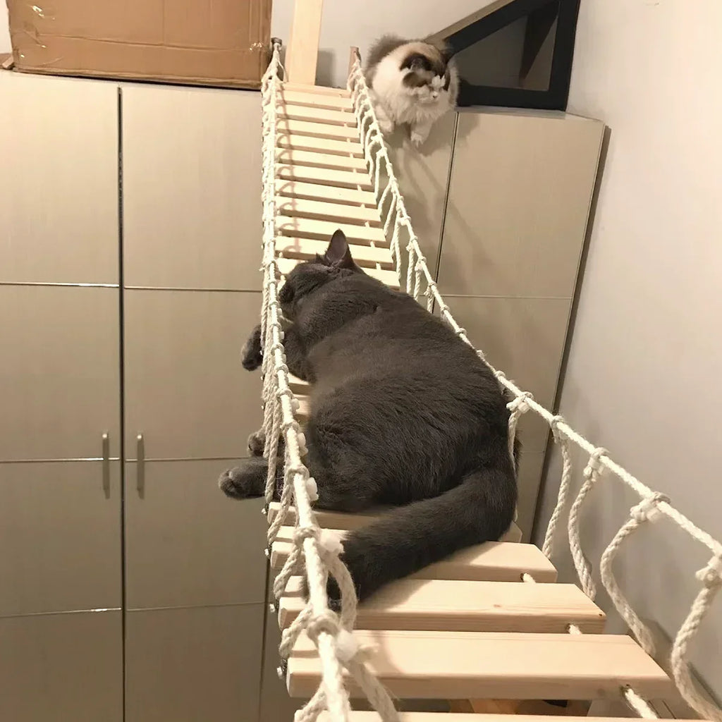 Cat Climbing Shelf Bridge Hammock Wall Cat Furniture Floating Shelves Tree Tower Cats Gym Walk for Scratching and Sleeping
