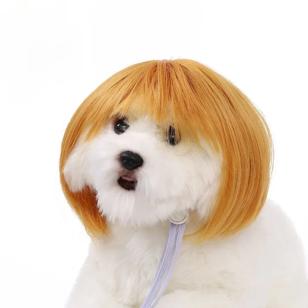 Pet Wig Dog Wig Pet Supplies Halloween Pet Accessories Curly Hair Straight Hair Cat Wig It can be DIY trimmed