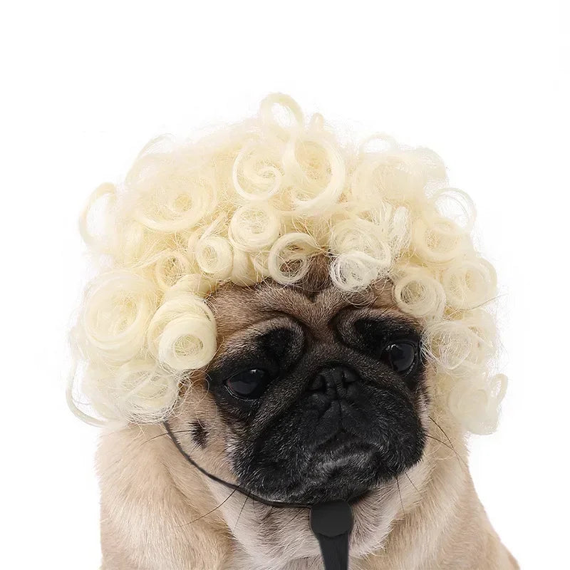 Pet Wig Dog Wig Pet Supplies Halloween Pet Accessories Curly Hair Straight Hair Cat Wig It can be DIY trimmed