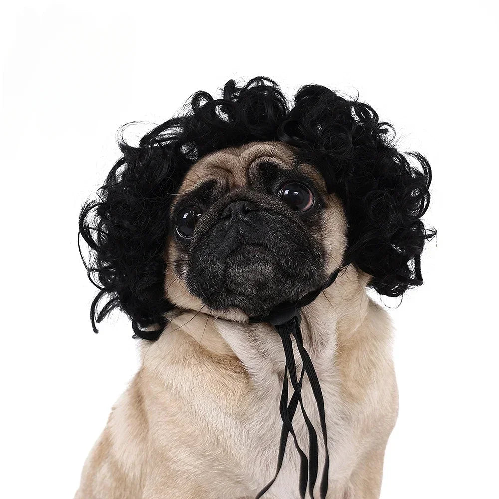 Pet Wig Dog Wig Pet Supplies Halloween Pet Accessories Curly Hair Straight Hair Cat Wig It can be DIY trimmed