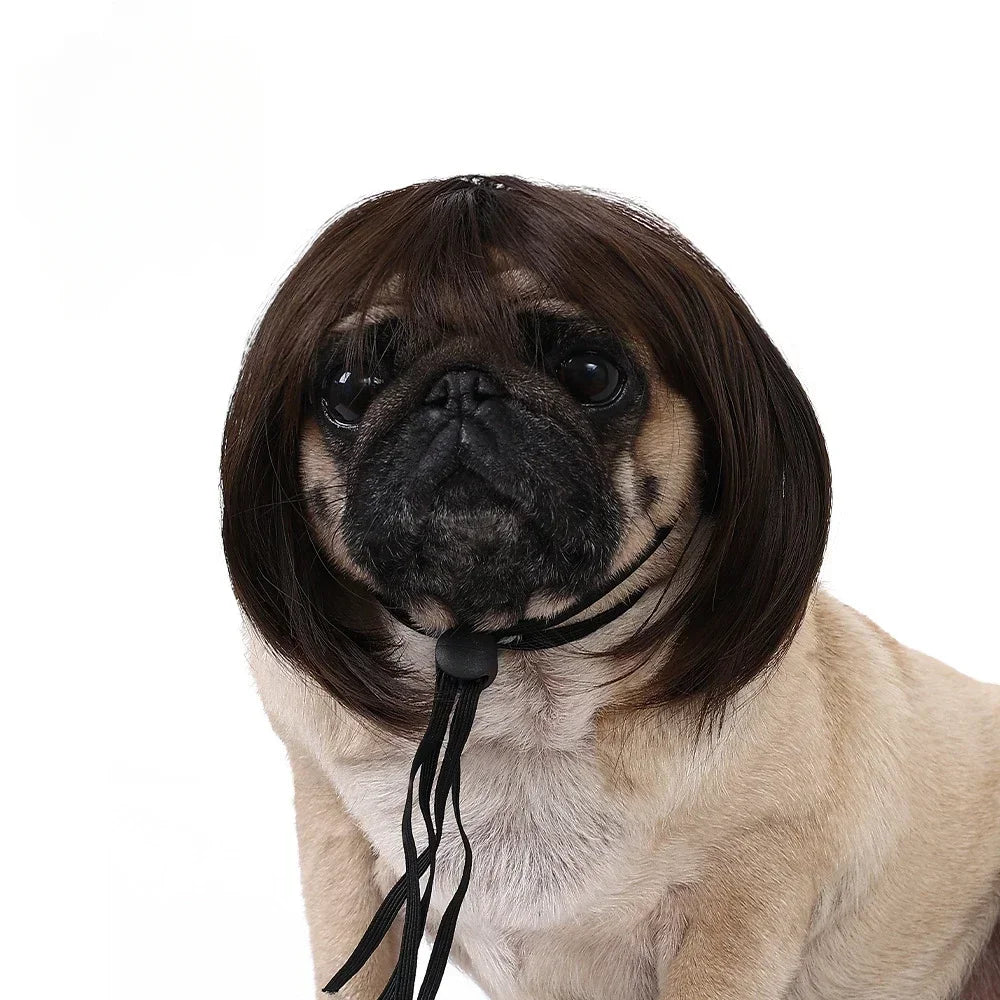 Pet Wig Dog Wig Pet Supplies Halloween Pet Accessories Curly Hair Straight Hair Cat Wig It can be DIY trimmed