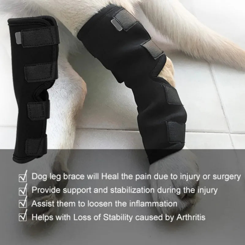 Leg Knee Pads for Dogs Recovery Bandage Anti-Lick Wound Dog Arthritis Auxiliary Fixed Joint Protector Dog Accessories